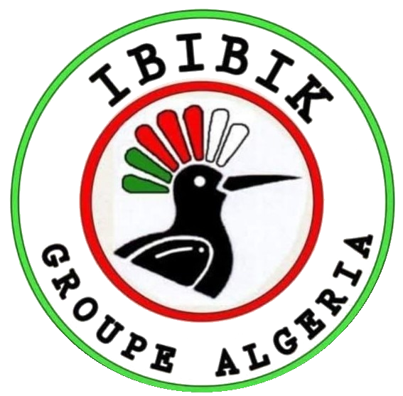 IBIBIK Groupe Algeria